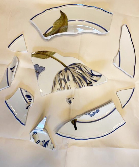 broken-white-plate